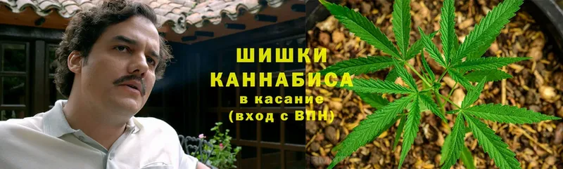 Каннабис сатива  наркотики  Киржач 